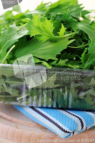 Image of mizuna leaves