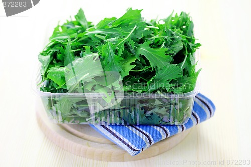 Image of mizuna leaves