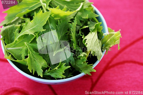 Image of mizuna leaves