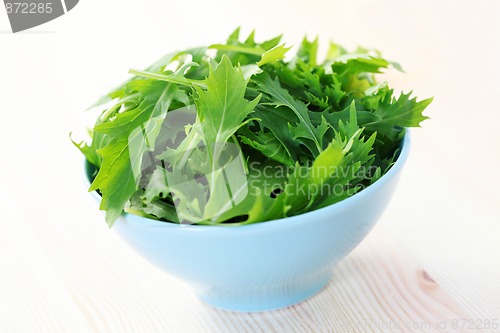 Image of mizuna leaves