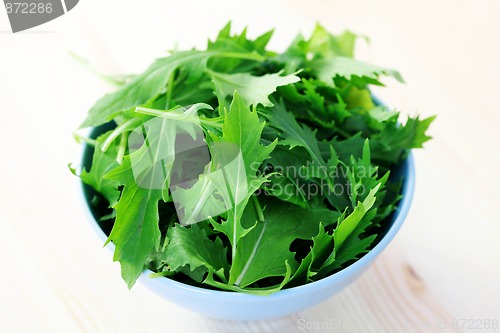 Image of mizuna leaves