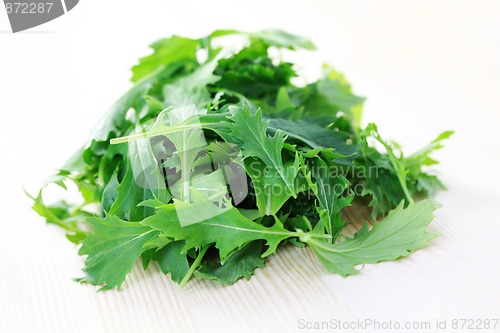 Image of mizuna leaves