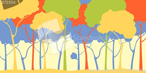 Image of Forest