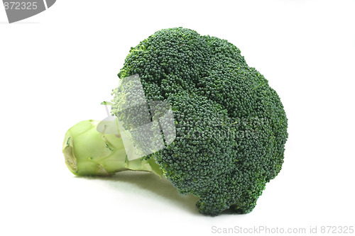 Image of Ripe Broccoli Cabbage