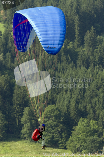Image of Paraglider