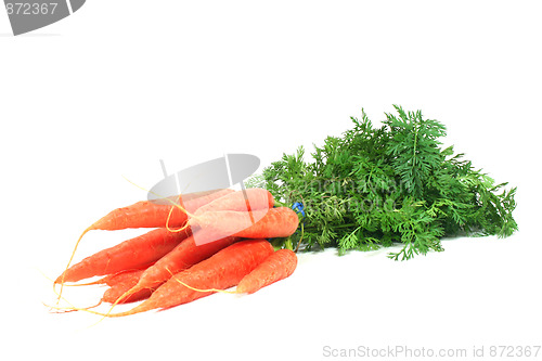 Image of a bunch of carrots