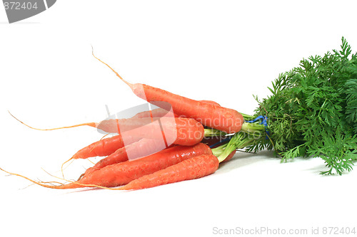 Image of a bunch of carrots
