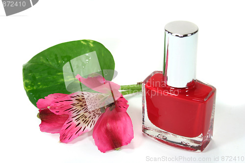 Image of Nail polish