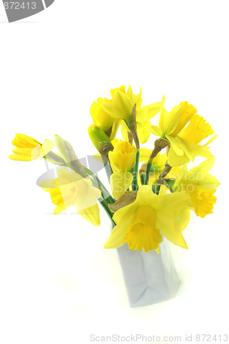 Image of Daffodils