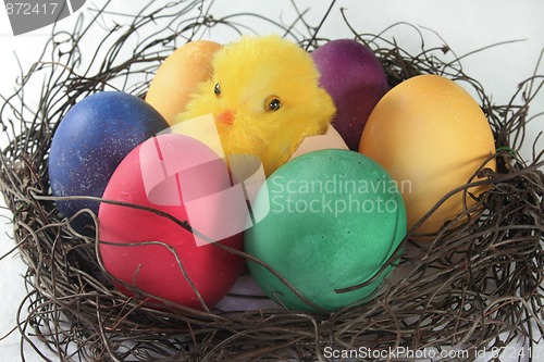 Image of Easter basket with Easter eggs and chicks