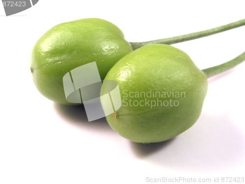 Image of cherry