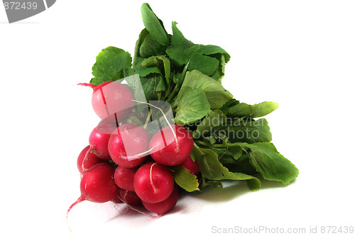Image of a bunch of radishes