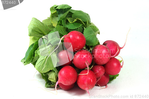 Image of Radishes