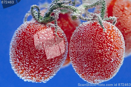 Image of Cherry tomatoes on vine