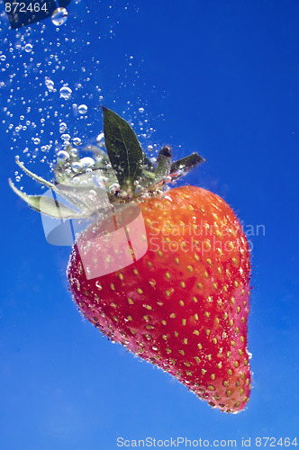 Image of strawberry