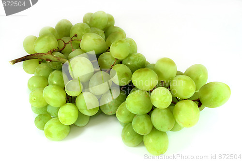 Image of a bunch of Grapes
