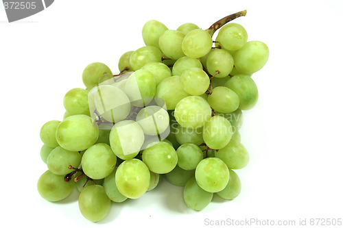 Image of Grapes