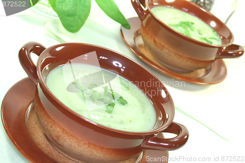 Image of Wild herb soup