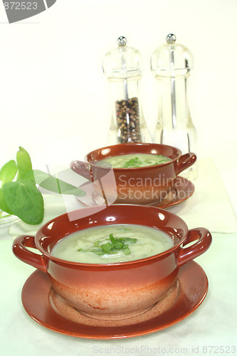 Image of Wild herb soup