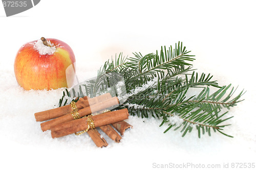 Image of Christmas Arrangement