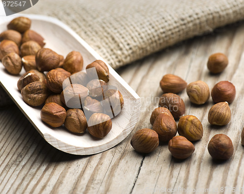 Image of Hazelnuts