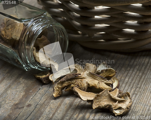 Image of Porcini Mushrooms