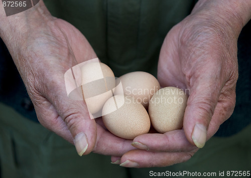 Image of Man Holding Eggs
