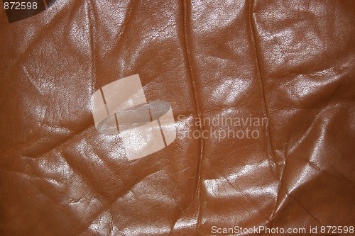 Image of Wrinkled old leather