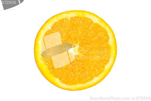 Image of Orange