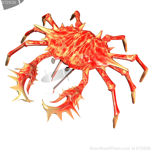 Image of crab