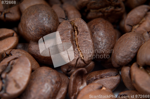 Image of Caffee beans