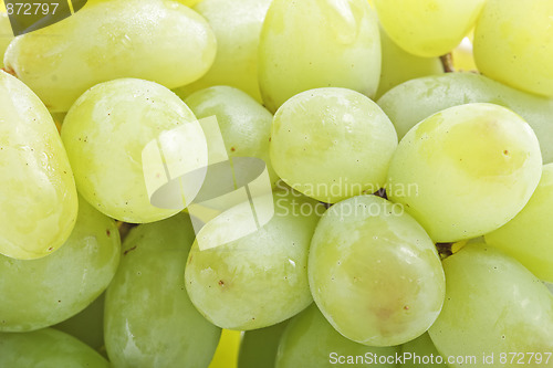 Image of Green grapes closeup