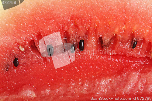 Image of Watermelon pulp with seeds