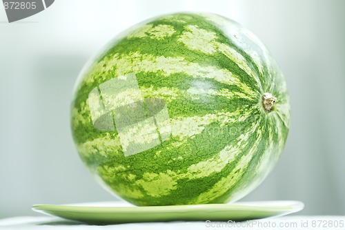 Image of Watermelon