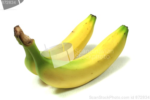 Image of two bananas