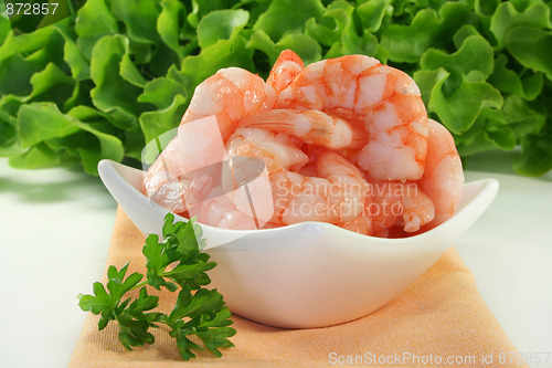 Image of Shrimp