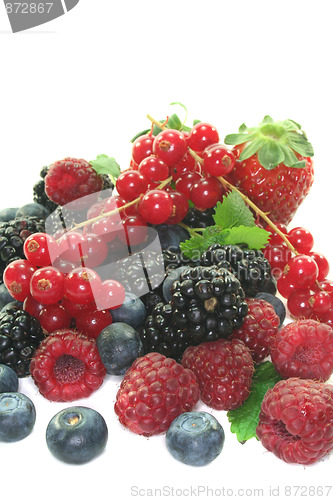 Image of Berries