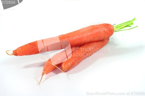 Image of Carrots