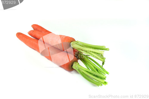 Image of Carrots