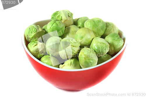 Image of Brussel sprouts