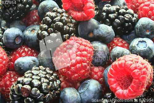 Image of Berries