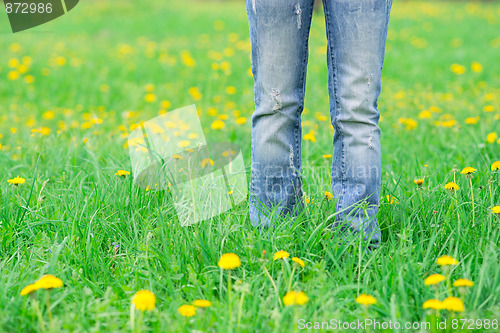 Image of Person in the meadow