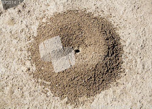 Image of Anthill