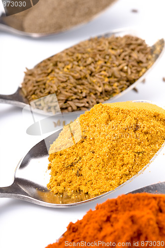 Image of various spices