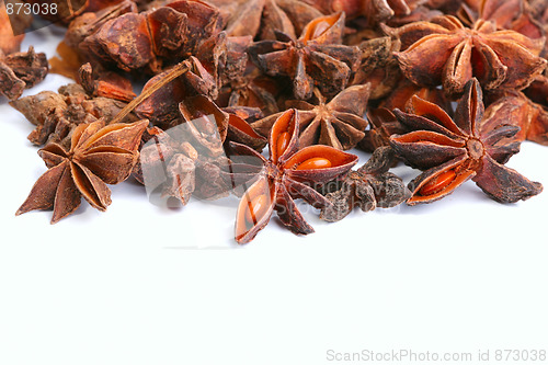 Image of anise stars isolated 
