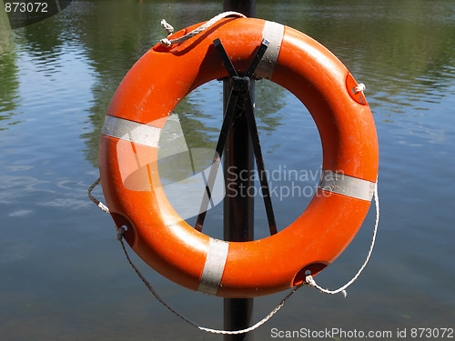 Image of Lifebuoy