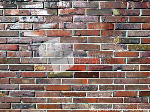 Image of Brick wall