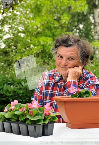 Image of Senior woman - gardening