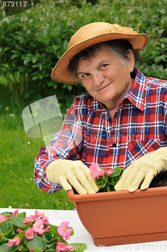 Image of Senior woman - gardening