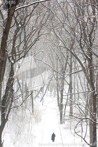 Image of walking in a park 